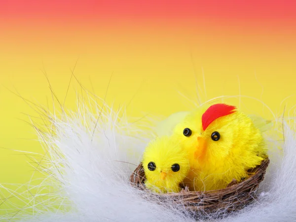 Easter chicks on the color background — Stock Photo, Image