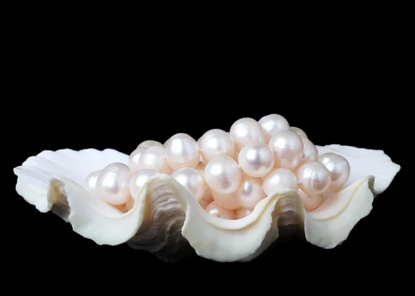 Pearl in shell — Stock Photo, Image