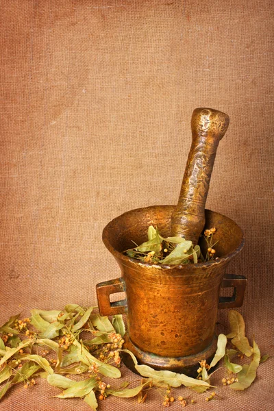 A gyógynövények régi bronz habarcs — Stock Fotó