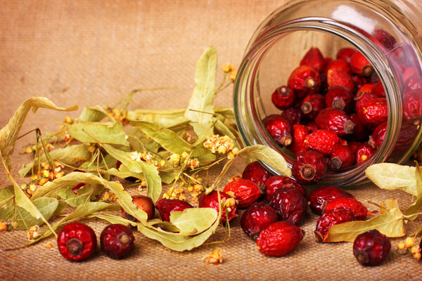 Rose hips and dry linden blossom