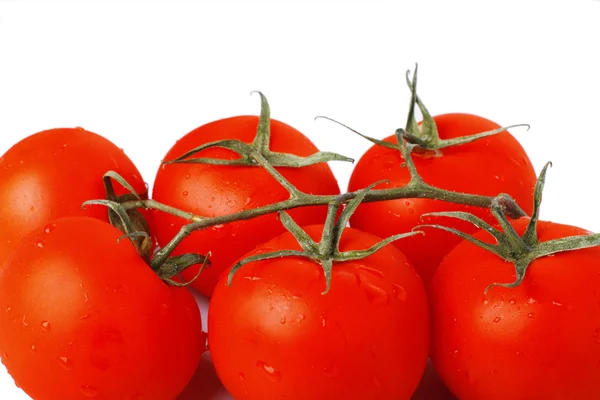 stock image Tomatoes