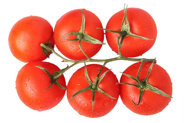 Stock image Tomatoes