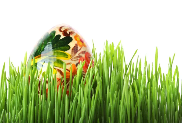 Великоднє яйце в траві — стокове фото