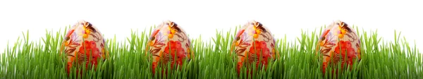 Ostereier im Gras — Stockfoto