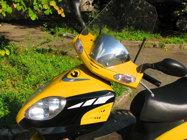Sarı moped