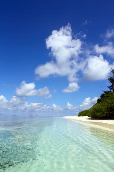 Waterside of tropical island — Stock Photo, Image