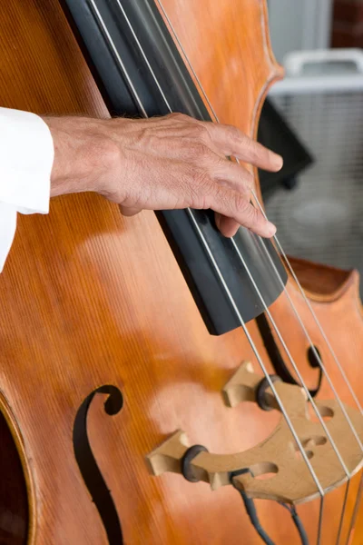 Bas fiol-spelare — Stockfoto