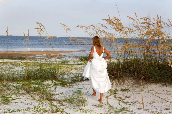 Bruid in zee haver — Stockfoto