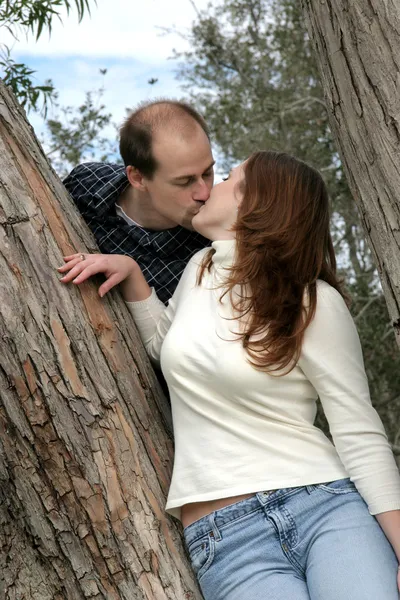 Casal beijando na árvore — Fotografia de Stock
