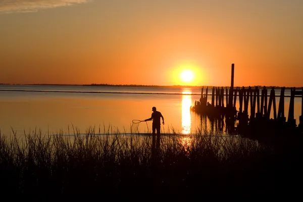 Crabbing vid solnedgången — Stockfoto