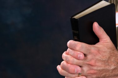 Praying Hands With Bible clipart