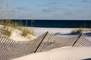 Sand Fence Along The Gulf Coast, Florida clipart