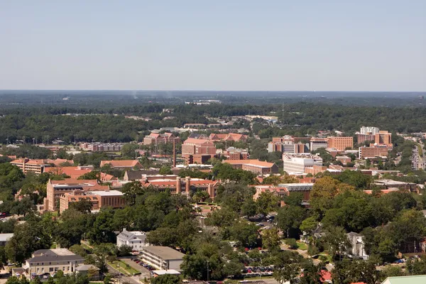 Florida State University — Stock Photo, Image