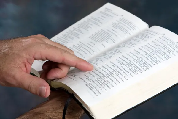 阅读圣经 — 图库照片