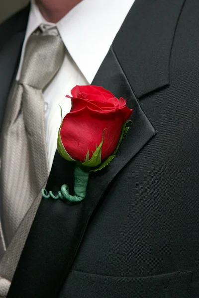 Czerwona róża boutonniere — Zdjęcie stockowe