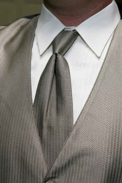 银色的领带 — 图库照片