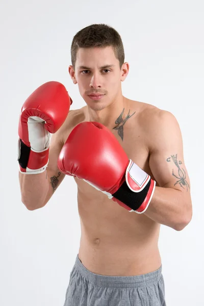 stock image Tattooed Boxer