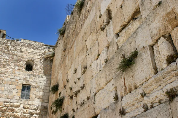 在耶路撒冷，以色列哭墙 — 图库照片