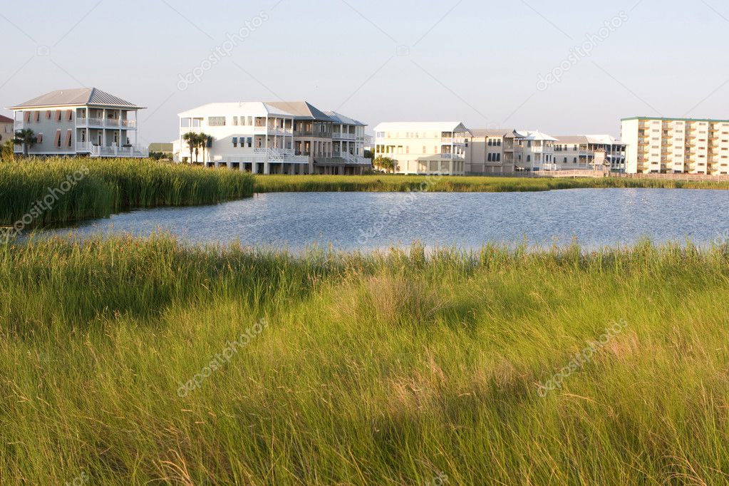 Homes Encroach On Wetlands