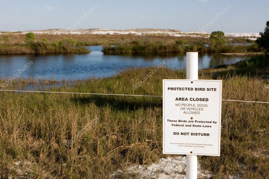 Protected Bird Site — Stock Photo © sframe #1413980