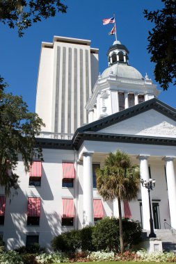 Florida State Capital Buildings clipart