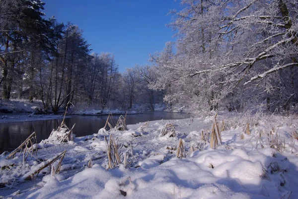 stock image Winter landscape