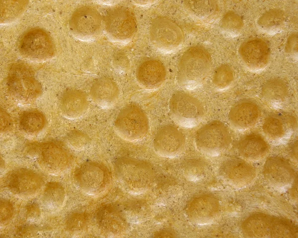 stock image Corn waffle texture