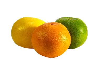 Grapefruits isolated clipart