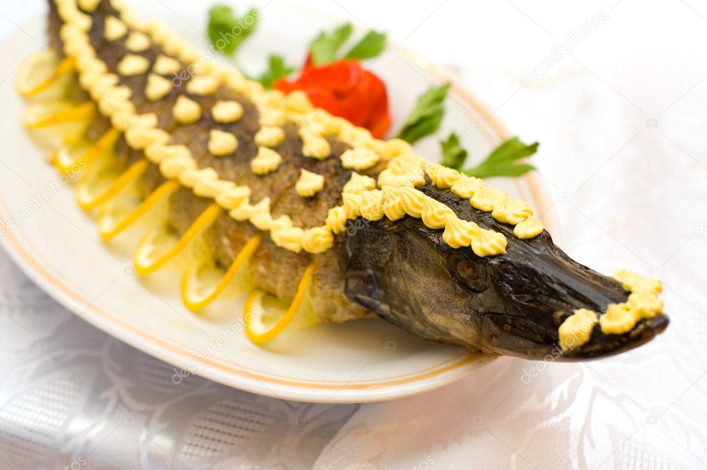 http://static3.depositphotos.com/1001866/140/i/950/depositphotos_1408702-Stuffed-pike.jpg
