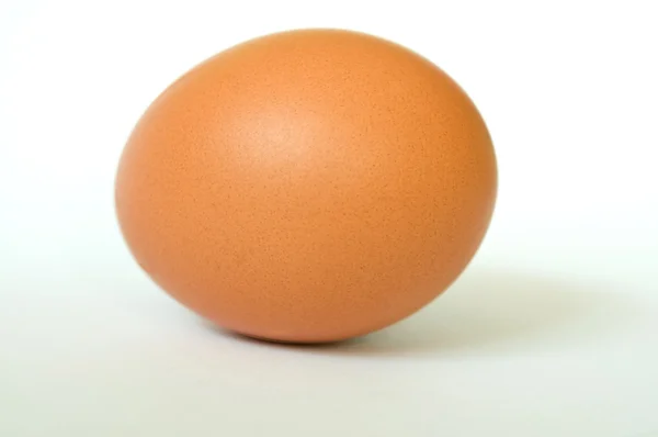 stock image Brown_egg