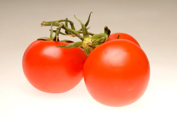 Tiga tomat merah — Stok Foto