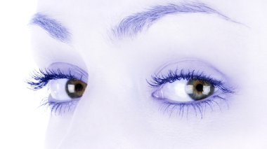 Brown female eyes clipart