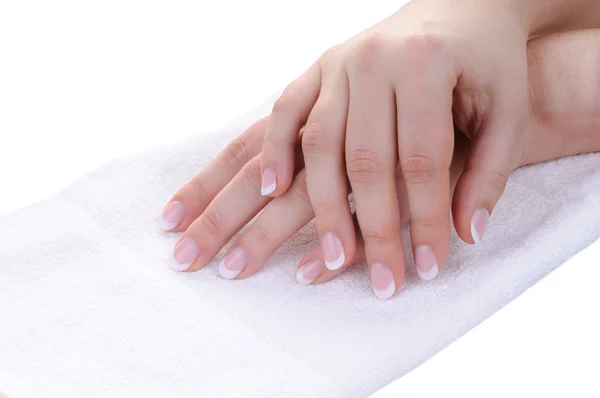 Mãos femininas com manicure francês agradável — Fotografia de Stock
