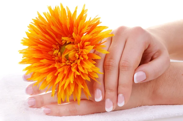 Beautiful french manicure and flower — Stock Photo, Image