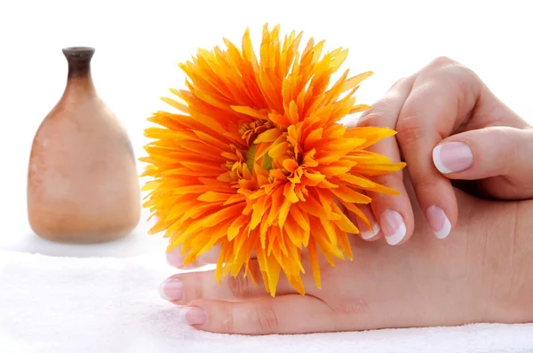 Mooie Franse manicure en bloem — Stockfoto