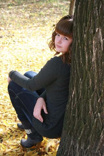 Gyönyörű lány az őszi levelek — Stock Fotó