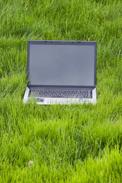 Laptop i gräset med grå färg — Stockfoto