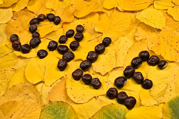 Stock image Word from chestnut on leaf