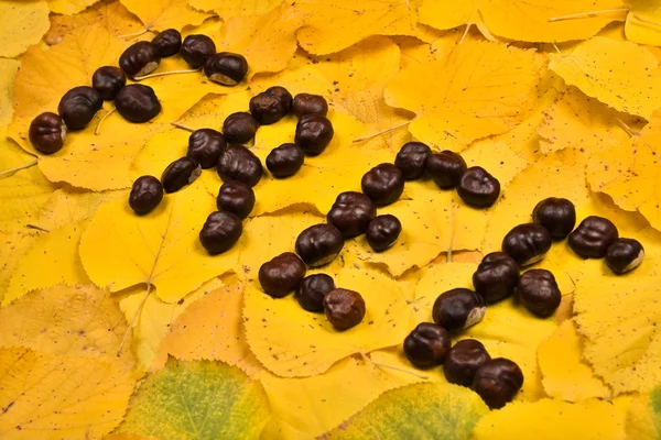 stock image Word from chestnut on leaf