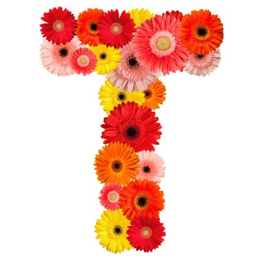 çiçek güzel alfabesi