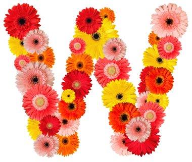 çiçek güzel alfabesi