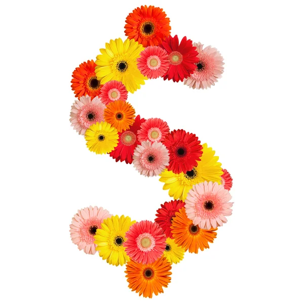 stock image Beautiful alphabet of flowers