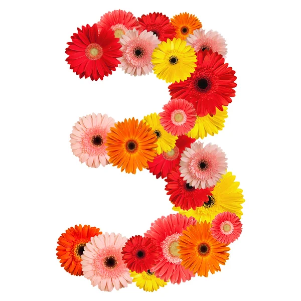 stock image Beautiful alphabet of flowers