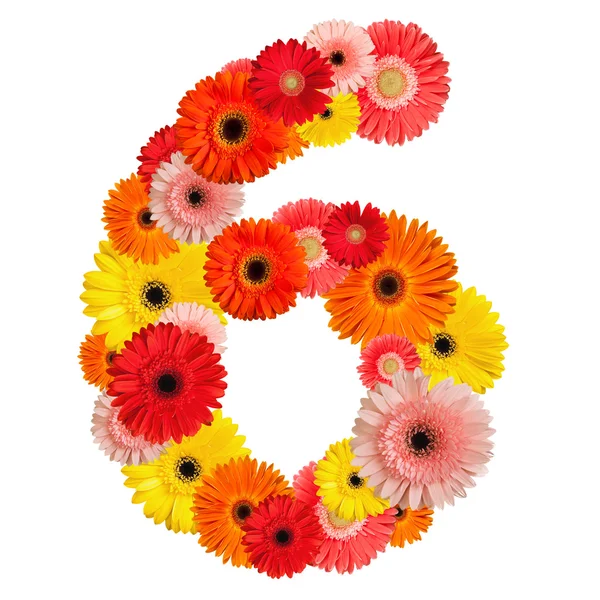 stock image Beautiful alphabet of flowers