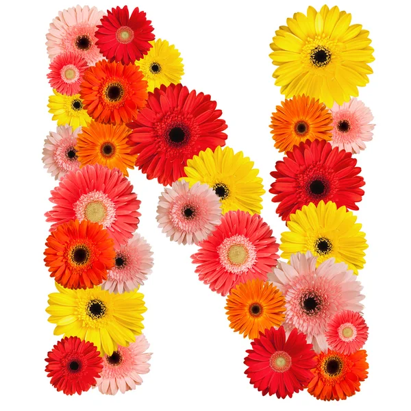 Beautiful alphabet of flowers — Stock Photo, Image