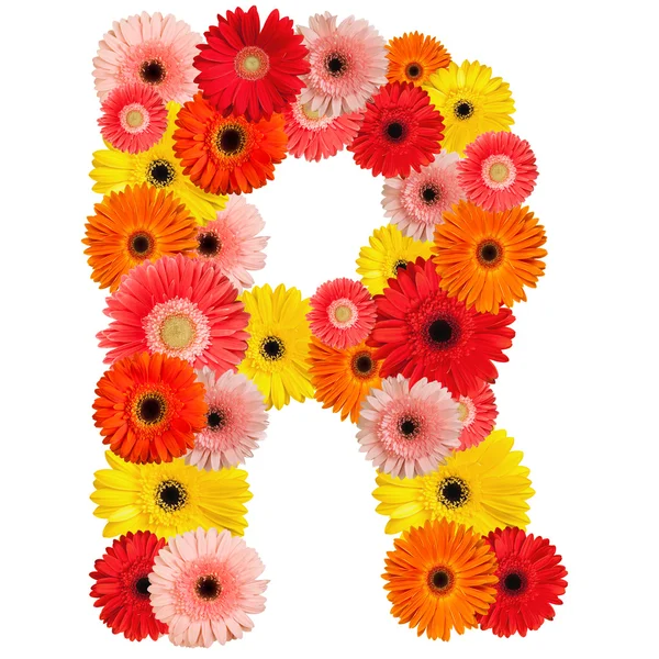 Beautiful alphabet of flowers — Stock Photo © jenmax #1627068