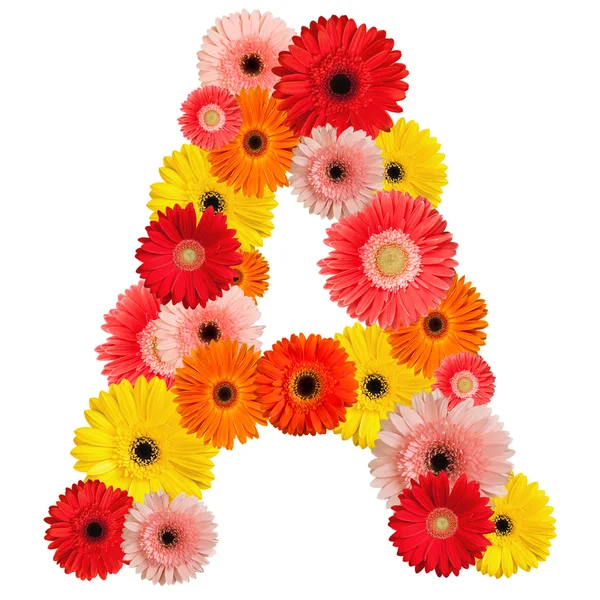 stock image Beautiful alphabet of flowers