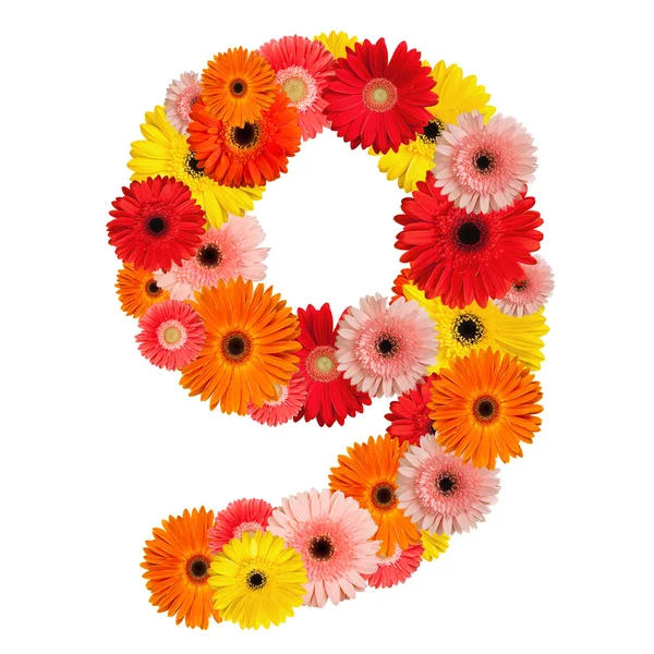 Alfabet piękne kwiaty — Zdjęcie stockowe