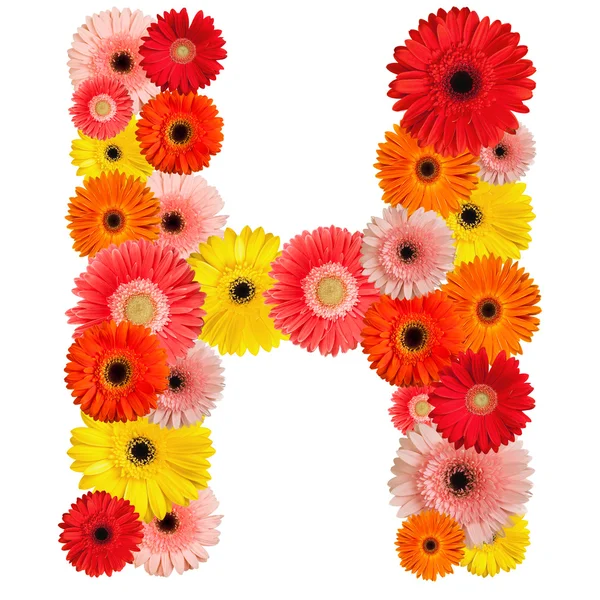 Beautiful alphabet of flowers Stock Photo by ©jenmax 1624653