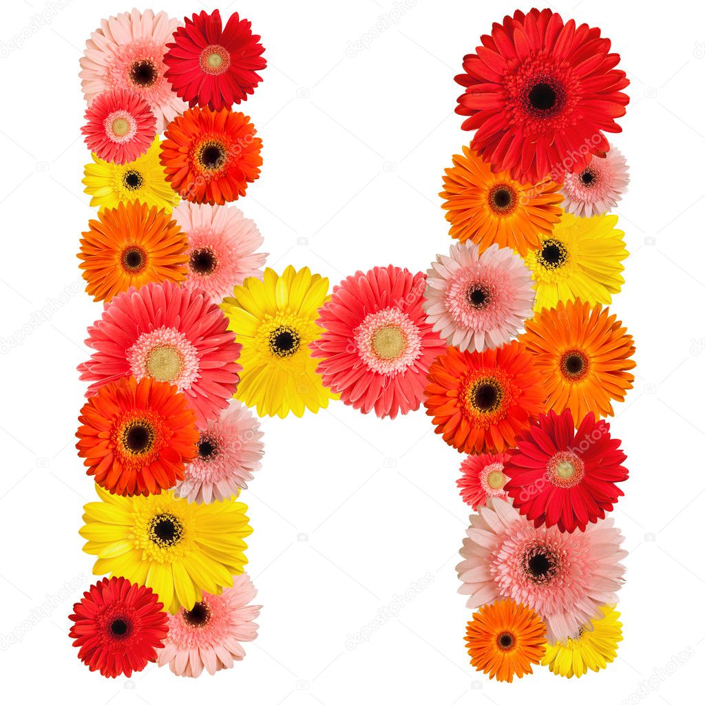 Beautiful alphabet of flowers